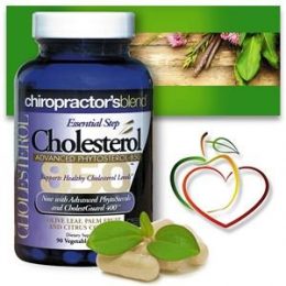 Cholesterol Essentials Support